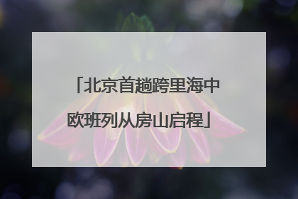 北京首趟跨里海中欧班列从房山启程
