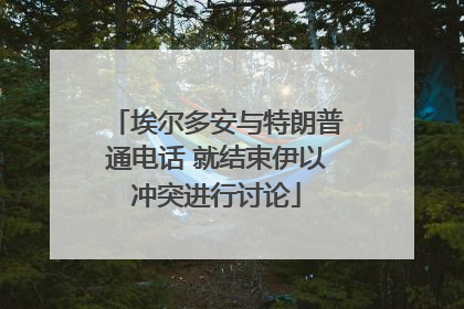 埃尔多安与特朗普通电话 就结束伊以冲突进行讨论