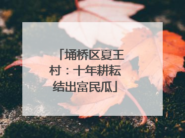 埇桥区夏王村：十年耕耘结出富民瓜