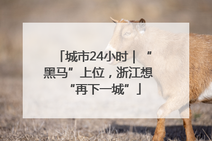城市24小时｜“黑马”上位，浙江想“再下一城”