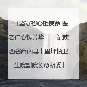 坚守初心担使命 医者仁心铸芳华——记陕西省商南县十里坪镇卫生院副院长贾胡委