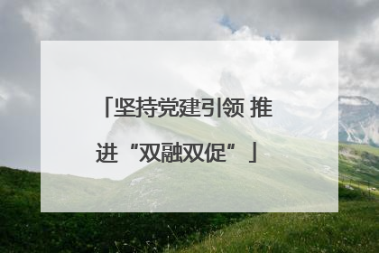 坚持党建引领 推进“双融双促”