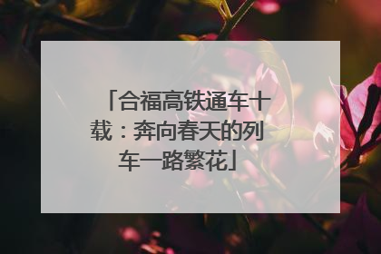 合福高铁通车十载：奔向春天的列车一路繁花