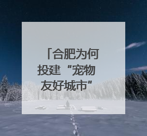 合肥为何投建“宠物友好城市”｜智库