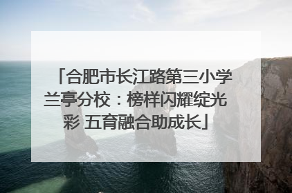 合肥市长江路第三小学兰亭分校：榜样闪耀绽光彩 五育融合助成长