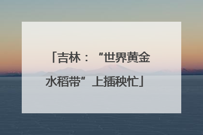 吉林：“世界黄金水稻带”上插秧忙