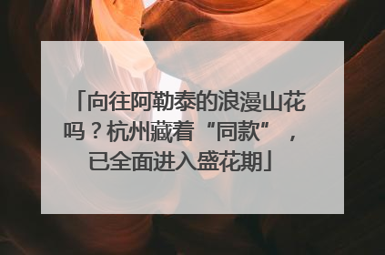 向往阿勒泰的浪漫山花吗？杭州藏着“同款”，已全面进入盛花期