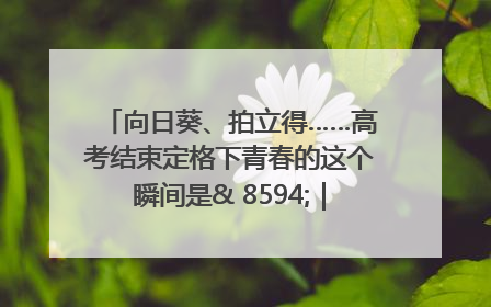 向日葵、拍立得……高考结束定格下青春的这个瞬间是& 8594;｜2025四川高考