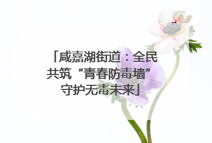 咸嘉湖街道：全民共筑“青春防毒墙” 守护无毒未来
