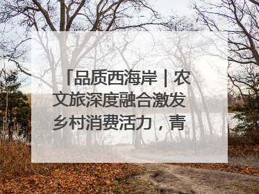 品质西海岸｜农文旅深度融合激发乡村消费活力，青岛西海岸新区的乡村振兴实践