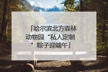 哈尔滨北方森林动物园“私人定制”粽子迎端午