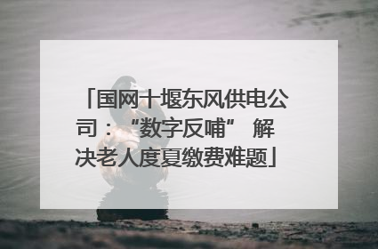 国网十堰东风供电公司：“数字反哺” 解决老人度夏缴费难题