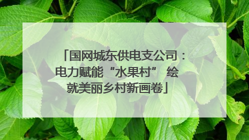 国网城东供电支公司：电力赋能“水果村” 绘就美丽乡村新画卷
