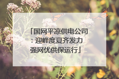 国网平凉供电公司：迎峰度夏齐发力 强网优供保运行