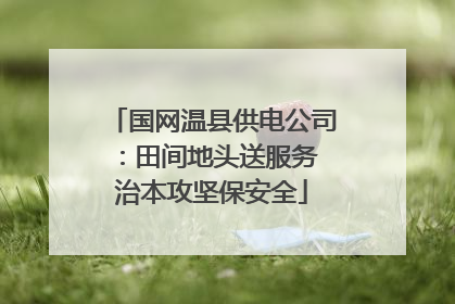 国网温县供电公司：田间地头送服务 治本攻坚保安全