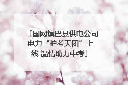 国网镇巴县供电公司 电力“护考天团”上线 温情助力中考