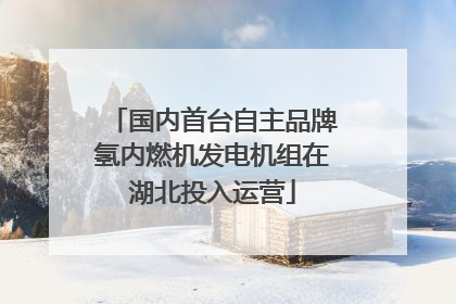 国内首台自主品牌氢内燃机发电机组在湖北投入运营