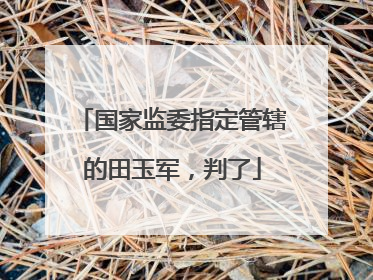 国家监委指定管辖的田玉军，判了