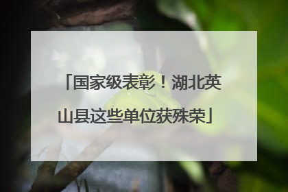 国家级表彰！湖北英山县这些单位获殊荣