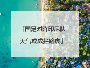 国足对阵印尼队 天气或成拦路虎