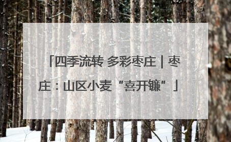 四季流转 多彩枣庄｜枣庄：山区小麦“喜开镰”