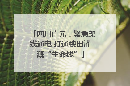四川广元：紧急架线通电 打通秧田灌溉“生命线”