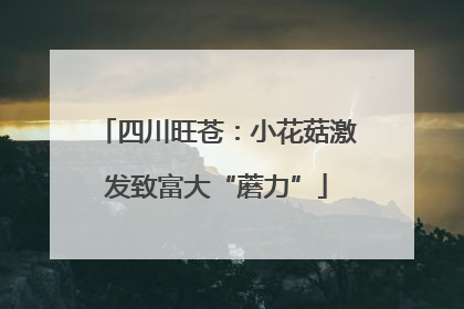 四川旺苍：小花菇激发致富大“蘑力”