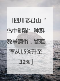 四川老君山“鸟中熊猫”种群数量翻番，繁殖率从15%升至32%