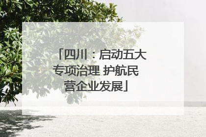 四川：启动五大专项治理 护航民营企业发展