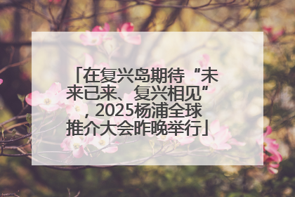 在复兴岛期待“未来已来、复兴相见”，2025杨浦全球推介大会昨晚举行