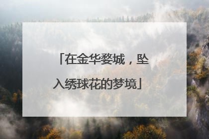 在金华婺城，坠入绣球花的梦境