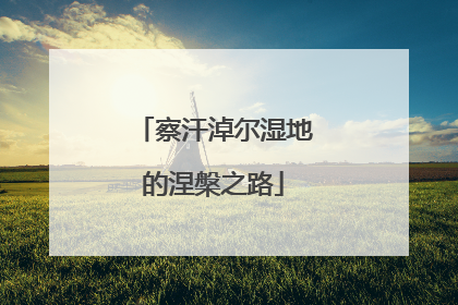 察汗淖尔湿地的涅槃之路