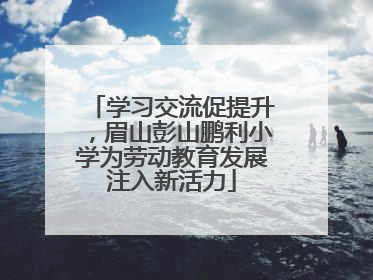 学习交流促提升，眉山彭山鹏利小学为劳动教育发展注入新活力
