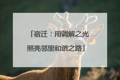 宿迁：用调解之光照亮邻里和谐之路