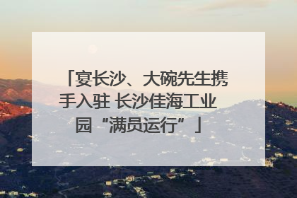 宴长沙、大碗先生携手入驻 长沙佳海工业园“满员运行”