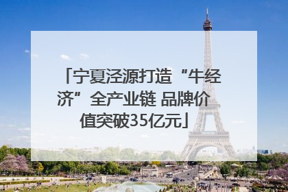 宁夏泾源打造“牛经济”全产业链 品牌价值突破35亿元