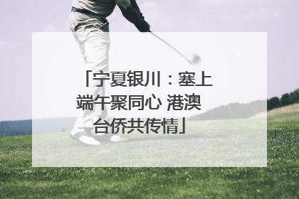 宁夏银川：塞上端午聚同心 港澳台侨共传情