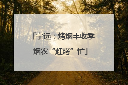 宁远：烤烟丰收季 烟农“赶烤”忙