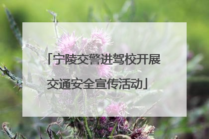 宁陵交警进驾校开展交通安全宣传活动