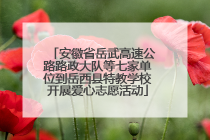 安徽省岳武高速公路路政大队等七家单位到岳西县特教学校开展爱心志愿活动