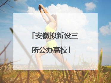 安徽拟新设三所公办高校