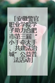 安徽警官职业学院学子助力合肥市第三届“小手牵大手、共建法治城”公益普法活动