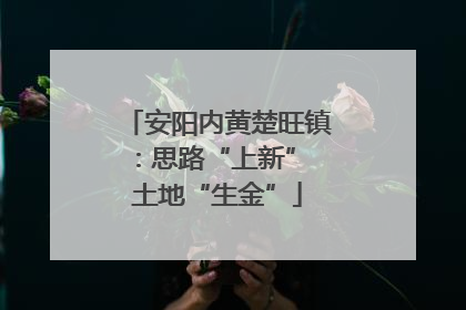 安阳内黄楚旺镇：思路“上新” 土地“生金”