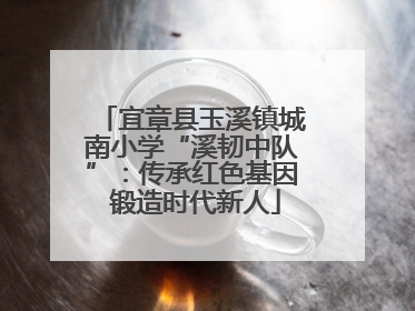 宜章县玉溪镇城南小学“溪韧中队”：传承红色基因 锻造时代新人