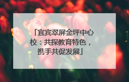 宜宾翠屏金坪中心校：共探教育特色，携手共促发展