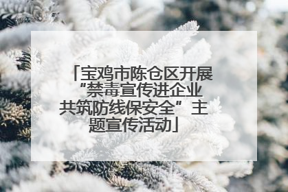 宝鸡市陈仓区开展“禁毒宣传进企业 共筑防线保安全”主题宣传活动