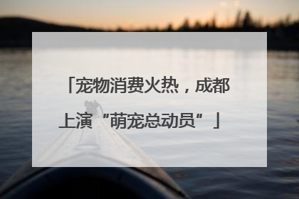 宠物消费火热，成都上演“萌宠总动员”