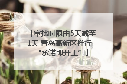 审批时限由5天减至1天 青岛高新区推行“承诺即开工”