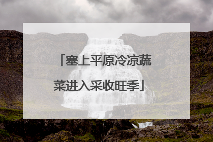 塞上平原冷凉蔬菜进入采收旺季