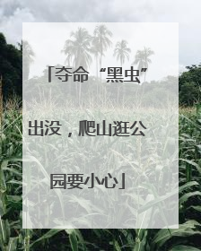 夺命“黑虫”出没，爬山逛公园要小心